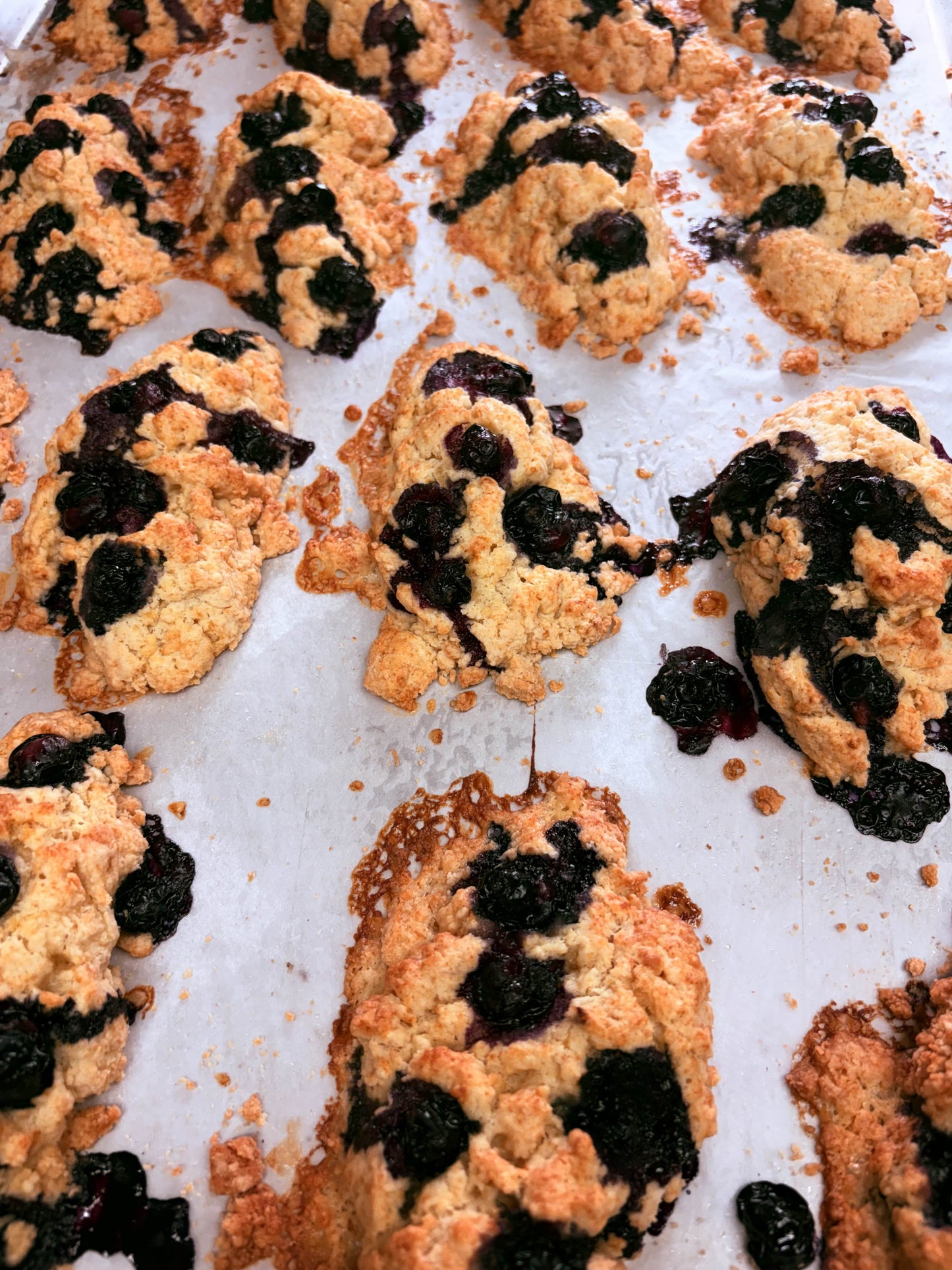 Gluten-Free Scones